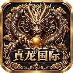 真龙国际